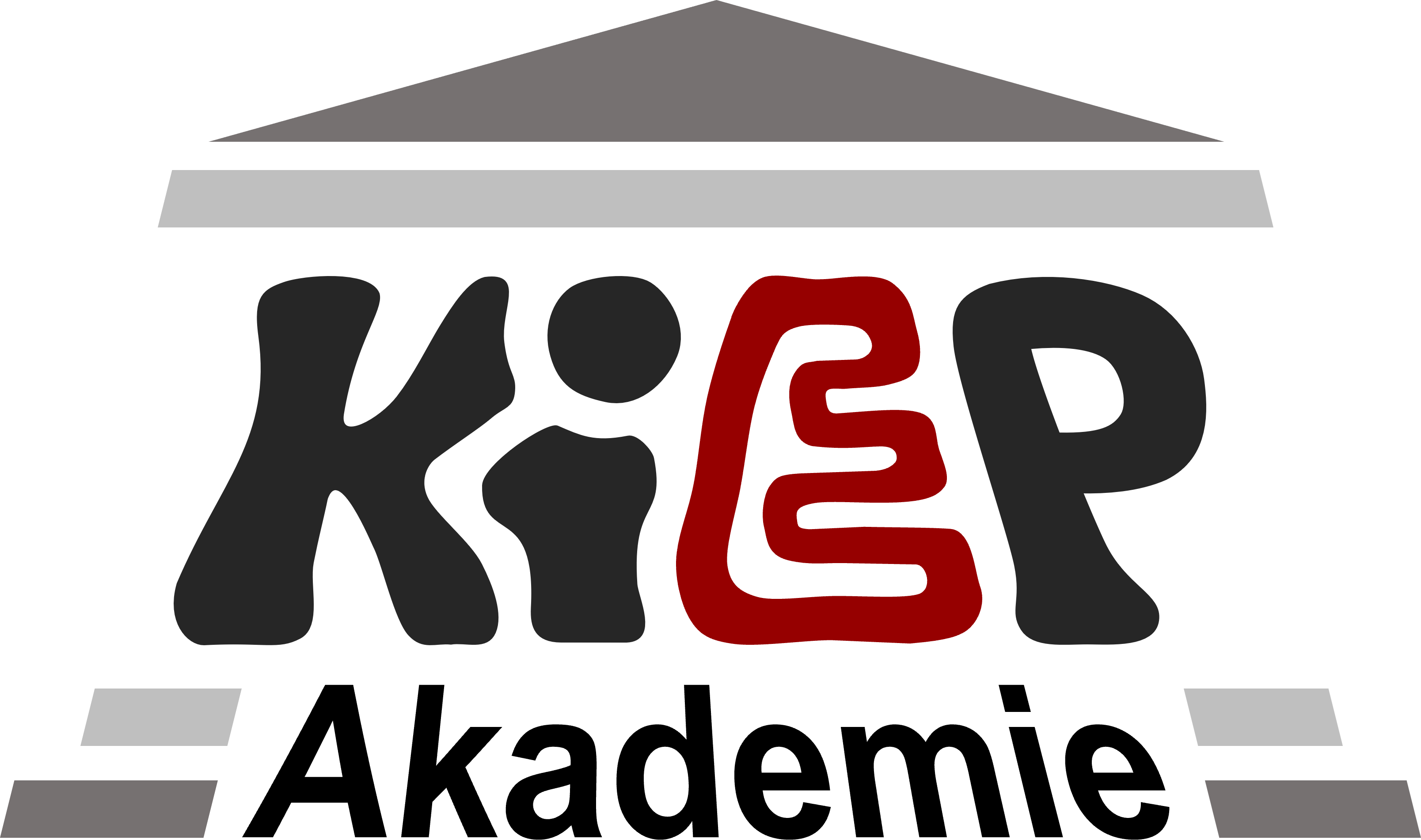 KiEP Akademie UG & Co. KG